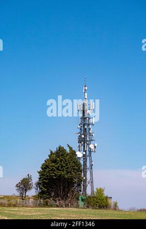 Albero di comunicazione situato nel South Downs National Park a nord di Worthing, West Sussex, Regno Unito. Foto Stock