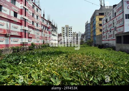 Dhaka, Bangladesh. 24 Apr 2021. Una visione generale del sito durante l'ottavo anniversario del disastro della costruzione di Rana Plaza a Savar.uno dei disastri industriali più devastanti del mondo, Rana Plaza, un edificio di otto piani crollato a causa di un fallimento strutturale e ha portato al monitoraggio internazionale della sicurezza in Bangladesh, gli attivisti stanno avvertendo delle "conseguenze disastrose" se tale supervisione viene abbandonata. (Foto di Piyas Biswas/SOPA Images/Sipa USA) Credit: Sipa USA/Alamy Live News Foto Stock