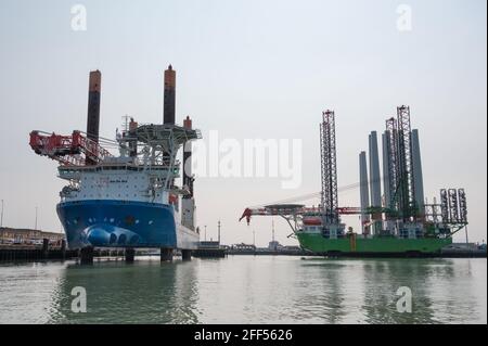 DEME Apollo e Jan de Nul Vole au Vent nel porto di Ostenda, Belgio Foto Stock