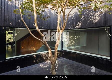 Giardino. Ed's Shed 2020, Londra, Regno Unito. Architetto: Adjaye Associates , 2007. Foto Stock