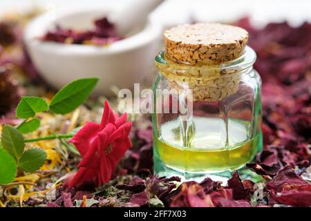 Bottiglia d'olio essenziale, fiori di rosa e petali di rosa essiccati. Mortaio di erbe medicinali sullo sfondo. Medicina alternativa. Foto Stock