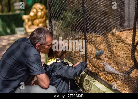 papà e figlio vicino alla gabbia con pappagalli nello zoo, guardare gli uccelli, pappagalli in giardino zoologico. fatherl e bambino ragazzo che giocano e nutrono fiducia frie Foto Stock