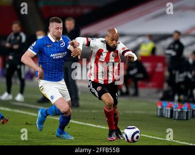 Sheffield, Inghilterra, 24 aprile 2021. David McGoldrick di Sheffield Utd si batte con Adam Webster di Brighton durante la partita della Premier League a Bramall Lane, Sheffield. L'immagine di credito dovrebbe essere: Andrew Yates / Sportimage Foto Stock