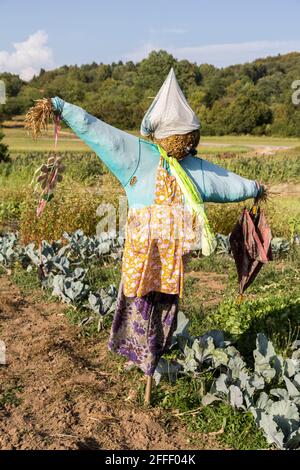 Lo Scarecrow sulla trama vegetale, Cernica, Slovenia Foto Stock