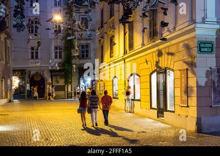 Passeggiata attraverso Lubiana di notte, Slovenia Foto Stock