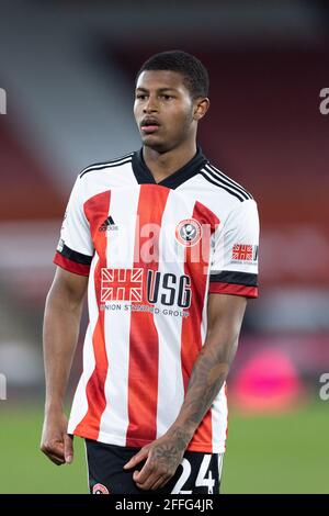 SHEFFIELD, REGNO UNITO. IL 24 APRILE, Rhian Brewster of Sheffield United si presenta sabato 24 aprile 2021 durante la partita della Premier League tra Sheffield United e Brighton e Hove Albion a Bramall Lane, Sheffield. (Credit: Pat Scaasi| MI News) Credit: MI News & Sport /Alamy Live News Foto Stock