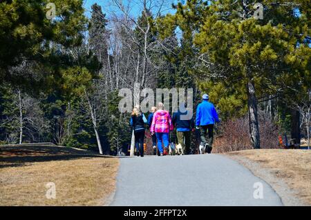 Una famiglia di cinque persone e i loro cani camminano su un sentiero lungo Boulevard Lake a Thunder Bay, Ontario, Canada, in una soleggiata giornata di primavera. Foto Stock