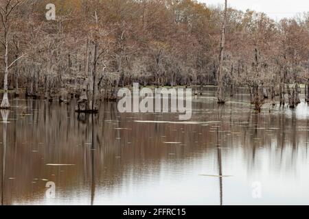 Black Bayou a Monroe la. Foto Stock