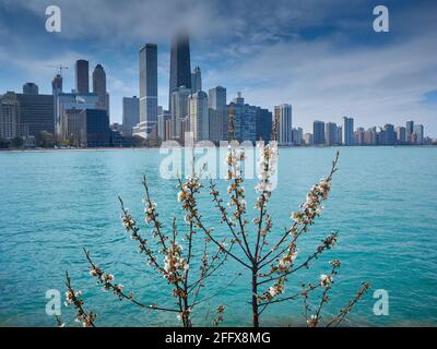 Vista dello skyline di Chicago lungo il lungolago di Chicago Foto Stock
