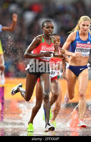 Celliphine Chepteek Chespol (Kemya), Emma Coburn (USA). 3000 metri steeplechase donne. Campionato del mondo di atletica IAAF. Londra 2017 Foto Stock