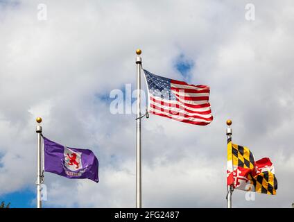 Le bandiere degli Stati Uniti, dello stato del Maryland e della contea di Talbot, MD, stanno sventolando insieme ai posti della bandiera in una giornata nuvolosa. Foto Stock