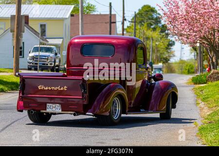 Vienna, MD, USA 04-16-2021: Un camion rosso brillante vintage Chevrolet serie Master (costruito tra il 1933-1940) è sulla strada in un quartiere residenziale Foto Stock