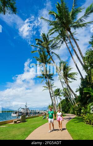 Coppia che cammina sotto palme piegate lungo il litorale di Trinity Inlet in una giornata di sole, Cairns, far North Queensland, FNQ, QLD, Australia Foto Stock