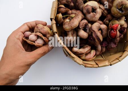 Manila tamaraind conosciuto anche come chichbila o jalebi della giungla, frutti crudi rosa selvatici asiatici o africani con semi. Tamarindo rotondo come frutta. Foto Stock