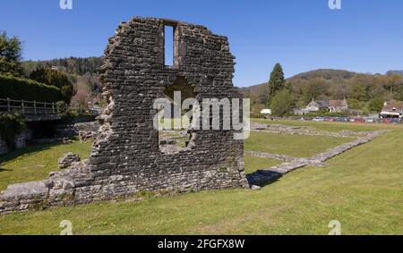 Rovine della Guest Hall a Tintern Abbey, Monmouthshire, Galles, Regno Unito Foto Stock