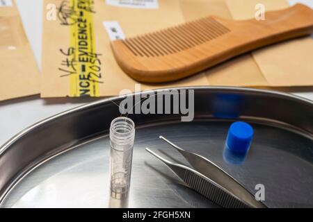 Laboratorio Criminalistic, analisi del capello, immagine concettuale Foto Stock