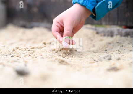 una mano dei capretti che pianta un seme germogliato di aglio dentro un letto da giardino con sabbia in primavera Foto Stock