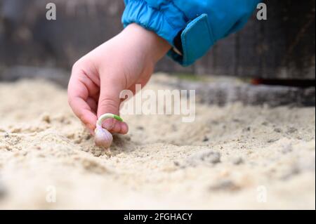 una mano dei capretti che pianta un seme germogliato di aglio dentro un letto da giardino con sabbia in primavera Foto Stock