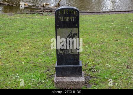 Monumento polizia cane Albert ad Amsterdam Paesi Bassi 18-3-2020 Foto Stock