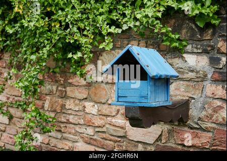 Cassetta postale esterna in legno con edera che cresce su un muro di pietra. Foto Stock