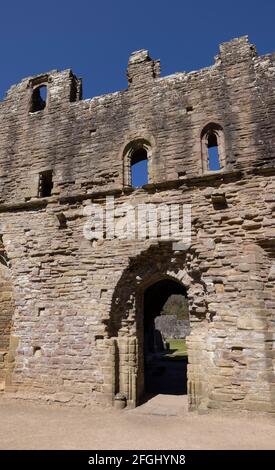 Rovine del muro di refettorio del monaco a Tintern Abbey, Monboccuthshire, galles, Regno Unito Foto Stock