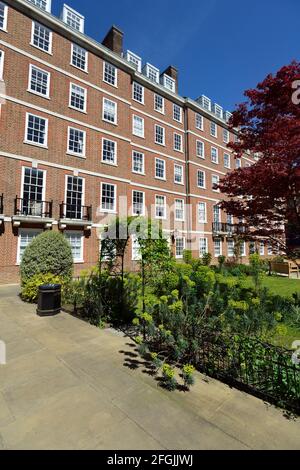 Pump Court e Elm Court Gardens, Middle Temple Lane, Temple Legal District, City of London, Regno Unito Foto Stock