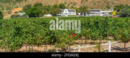 FRANSCHHOEK Western CAPE SOUTH AFRICA - FEBBRAIO 02.2020: Panorama della rickety Bridge Winery, Franschhoek Valley, tipica vigna del capo occidentale Foto Stock