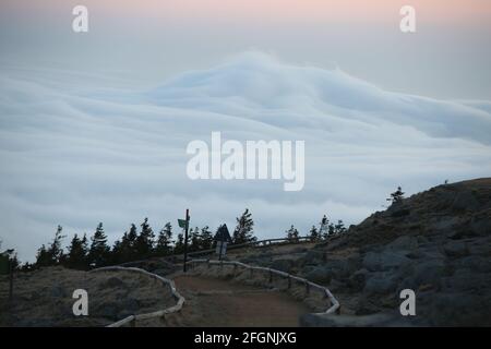 Schierke, Germania. 25 Apr 2021. Vista di un mare di nuvole sotto il Brocken. Solo pochi escursionisti hanno guardato la situazione del tempo di inversione dall'alto la domenica. Il clima primaverile fresco e mutevole ha tenuto molti escursionisti indietro. Credit: Matrhias Bein/dpa-Zentralbild/dpa/Alamy Live News Foto Stock