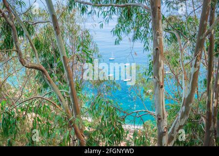 La costa siciliana, vista estiva attraverso i pini verso gli yacht ormeggiati vicino alla spiaggia di Giardini Naxos, vicino a Taormina, Sicilia, Europa. Foto Stock