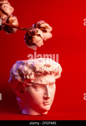 Vaso in gesso sotto forma di testa di Davide su sfondo rosso. Foto Stock