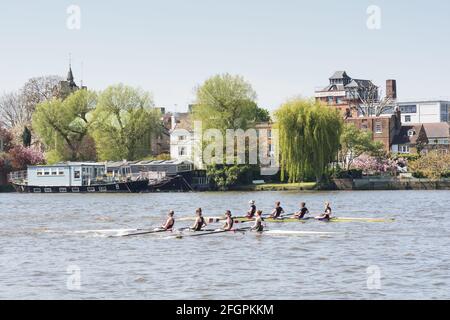 Fuller's Brewery Chiswick - fabbrica di birra Fuller, Smith & Turner Griffin a Chiswick, Londra, Regno Unito Foto Stock