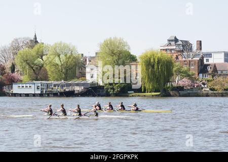 Fuller's Brewery Chiswick - fabbrica di birra Fuller, Smith & Turner Griffin a Chiswick, Londra, Regno Unito Foto Stock