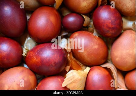 uova di pasqua dipinte bucce di cipolla. colorazione delle uova secondo il vecchio metodo naturale eco-friendly con cipolle pelate Foto Stock