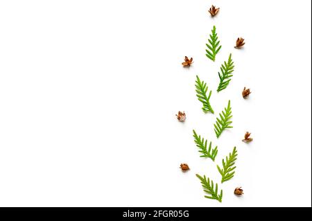 composizione di un ramoscello di thuja e di piccoli coni isolati su sfondo bianco. Concetto di carta di Natale. Spazio per il testo Foto Stock