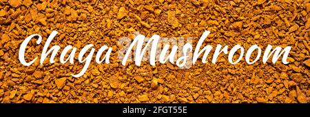 chaga mushroom. sfondo di piccoli pezzi rotti di betulla fungo chaga. banner. testo di font Foto Stock