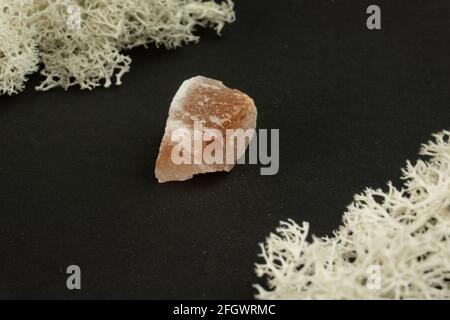 Halite o sale di roccia dal Pakistan. Pietra minerale naturale su sfondo nero circondata da muschio. Mineralogia, geologia, magia, pietre semi-preziose Foto Stock