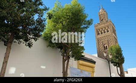 Moschea Dar El Makhzen nella medina (città vecchia) di Casablanca, Marocco Foto Stock