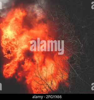 Enorme grande fuoco selvatico, macchia, un fuoco di foresta, con alberi in fiamme e fumo Foto Stock