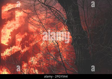Enorme grande fuoco selvatico, macchia, un fuoco di foresta, con alberi in fiamme e fumo Foto Stock