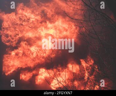 Enorme grande fuoco selvatico, macchia, un fuoco di foresta, con alberi in fiamme e fumo Foto Stock