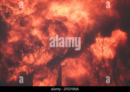 Enorme grande fuoco selvatico, macchia, un fuoco di foresta, con alberi in fiamme e fumo Foto Stock