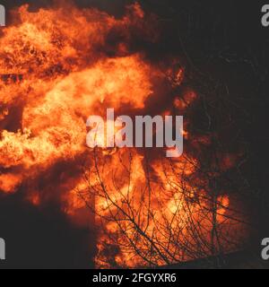 Enorme grande fuoco selvatico, macchia, un fuoco di foresta, con alberi in fiamme e fumo Foto Stock