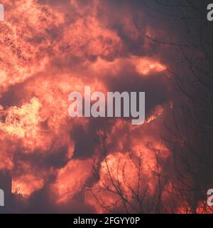 Enorme grande fuoco selvatico, macchia, un fuoco di foresta, con alberi in fiamme e fumo Foto Stock