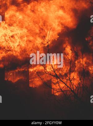 Enorme grande fuoco selvatico, macchia, un fuoco di foresta, con alberi in fiamme e fumo Foto Stock