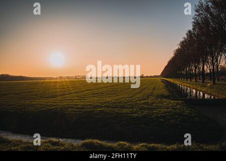 Una vista panoramica sul luminoso sole che splende sulla campo al tramonto Foto Stock