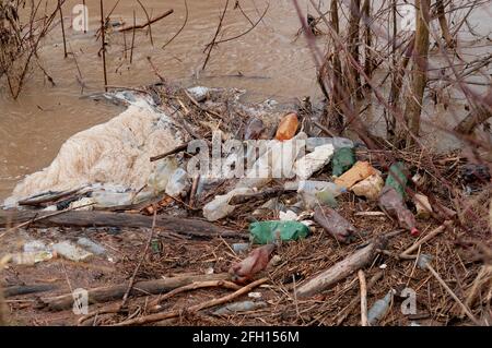 fiume con bottiglie di plastica lasciate dalla gente. Disastro ambientale delle risorse idriche. Bottiglie di plastica e rifiuti in acqua di fiume. Inquinamento ambientale Foto Stock