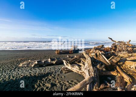 Inverno a Rialto Beach, Mora Area, Olympic National Park, Washington Foto Stock