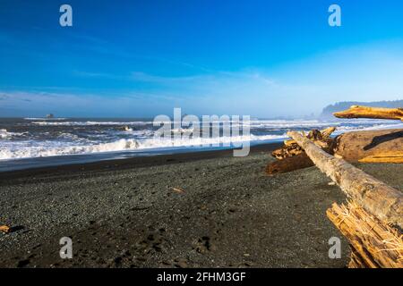 Soleggiata giornata invernale a Rialto Beach, Mora Area, Olympic National Park, Washington Foto Stock
