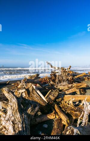 Rialto Beach, Mora Area, Olympic National Park, Washington Foto Stock