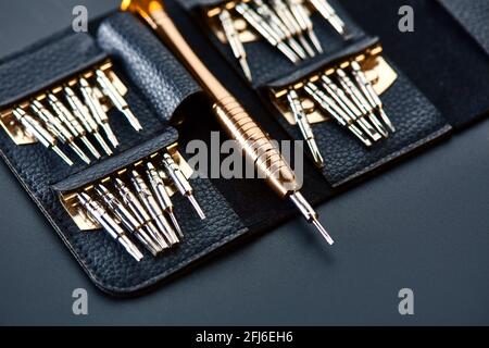 Cacciavite e set di punte sostituibili, primo piano Foto Stock